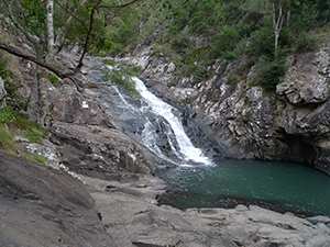 Cedar Creek falls on Mount Tamborine